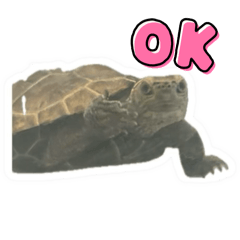 ichiichi_20250428202703