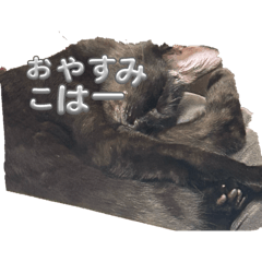 Iroha_20250428220827