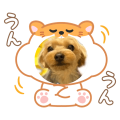 ANZU_20250428220524