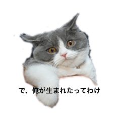 M_20250428220844