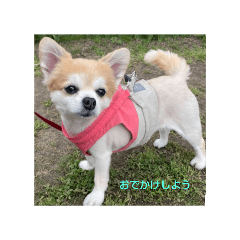 AMI_20250428223335