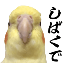 hima_20250428225620