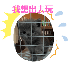 采芸貼圖04