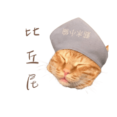 建築小學校草阿橘