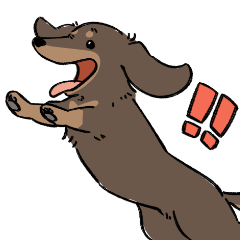 Cute Dachshund chocolate !