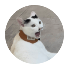 什麼都有版權 就我的臉沒有版權...