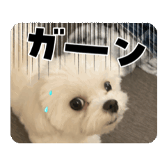 Saki_20250428200057