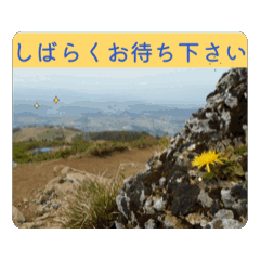 sam_20250428164001