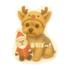 misa_20250428001159