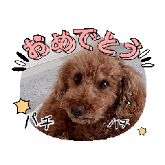 coco_2025-4-28