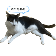 方方君