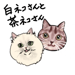 Shironeko chaneko Sticker