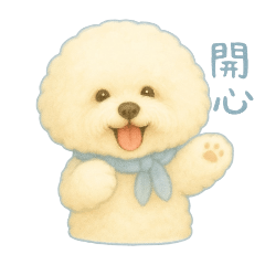 比熊Tubi3