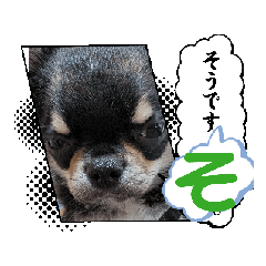 momipi01