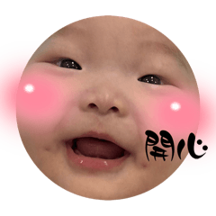 小堅果的日常用語