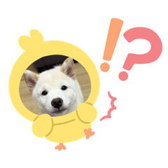 我叫福寶