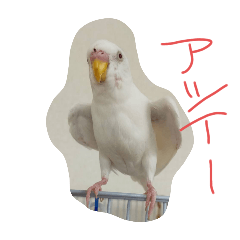 RYU_20250428224851