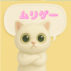Tough Kitty Says No