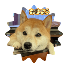 rui_20250428235005