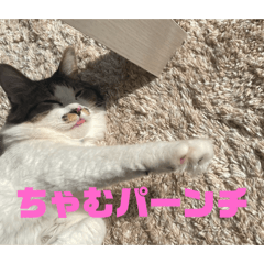 Ayumi_20250428235416