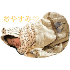 ami_20250429002218