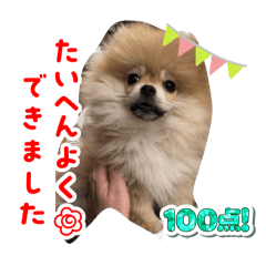 Yuchi_20250429002719