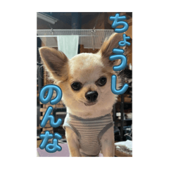 yama_20250429005210