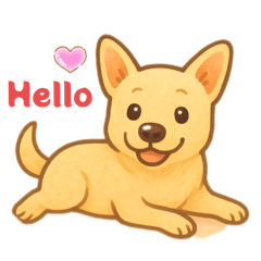 盈翔捷的小貴 ❤️