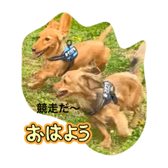 s_20250429012103