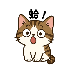斑斑 喵～