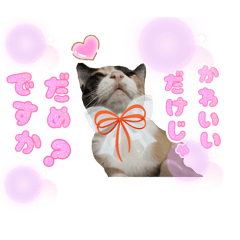 Black cat and calico cat stickers