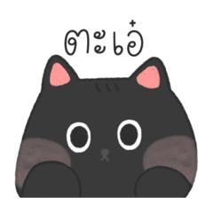 White cat_20250429122938