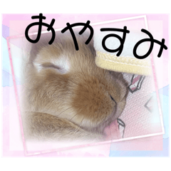 ryo_20250429075532