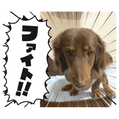 tomo_20250429075515