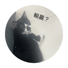 愛我的哲