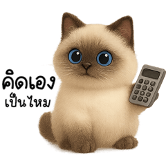 น้องเหมียวแต้มสี