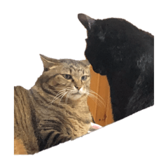 Nanami_20250429091841