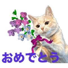 munokun_20250429101824