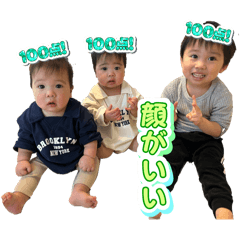 tomo_20250429095326