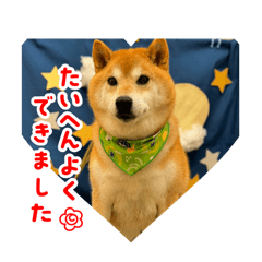 RAN_20250429104434
