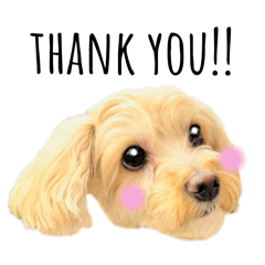 haru_20250429102124
