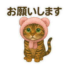 risa_20250429124024