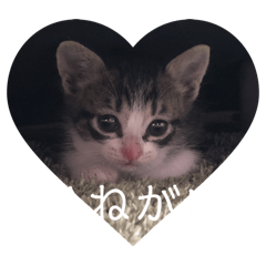 Yuzu_20250429115601