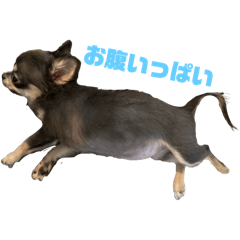 kana_20250429142247