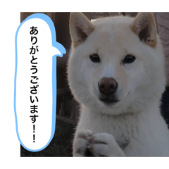 K_20250429143954