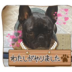 Mika_20250429143032
