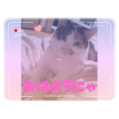 eri_20250429150829