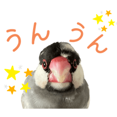 KUROSUKE_20250429145720