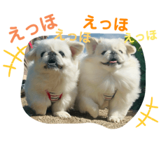 matyu_20250429151241