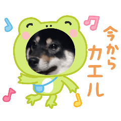 Chikuwa_20250429153107